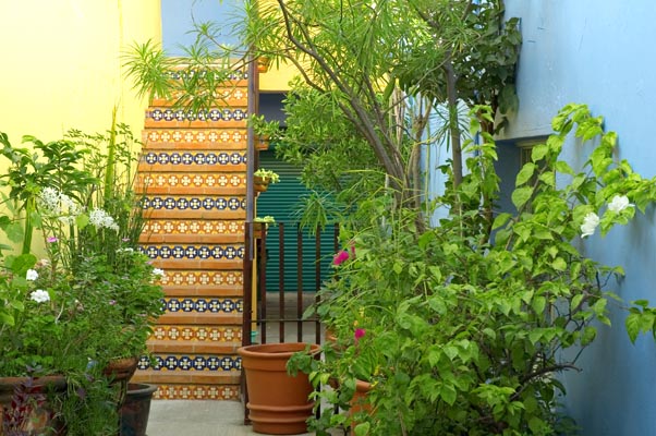 Standard Room at Guadalajara Hotel Casa de las Flores Bed and Breakfast in Tlaquepaque, Jalisco, Mexico, the folk art capital of Mexico